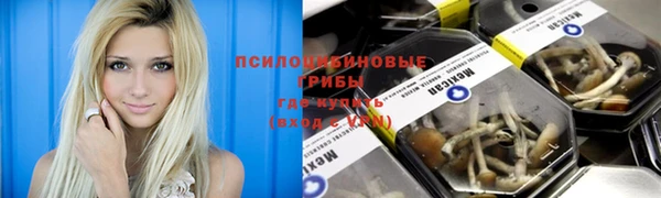 ПСИЛОЦИБИНОВЫЕ ГРИБЫ Майский