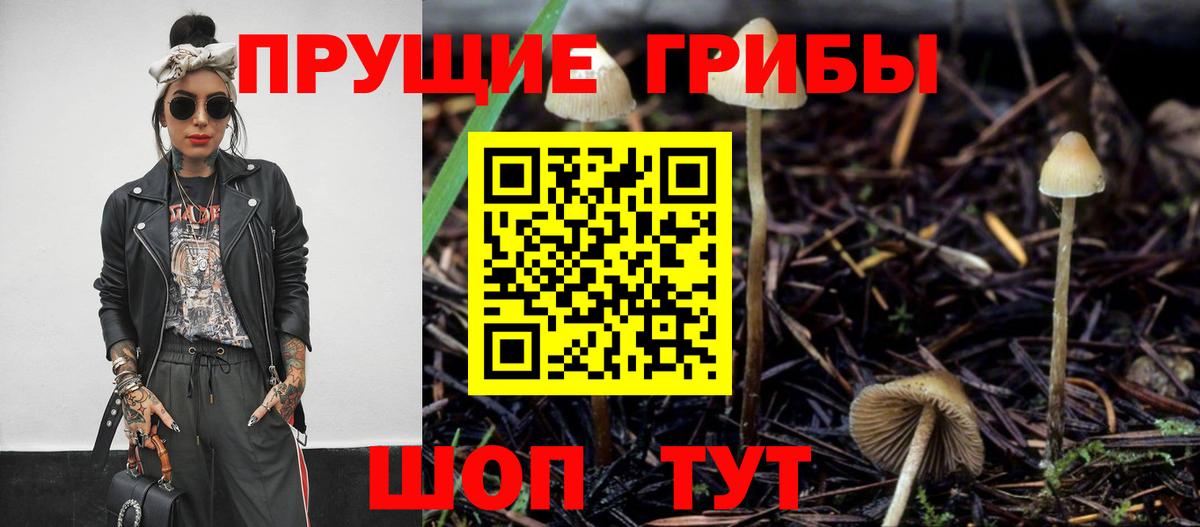 Псилоцибиновые грибы мицелий Рузаевка